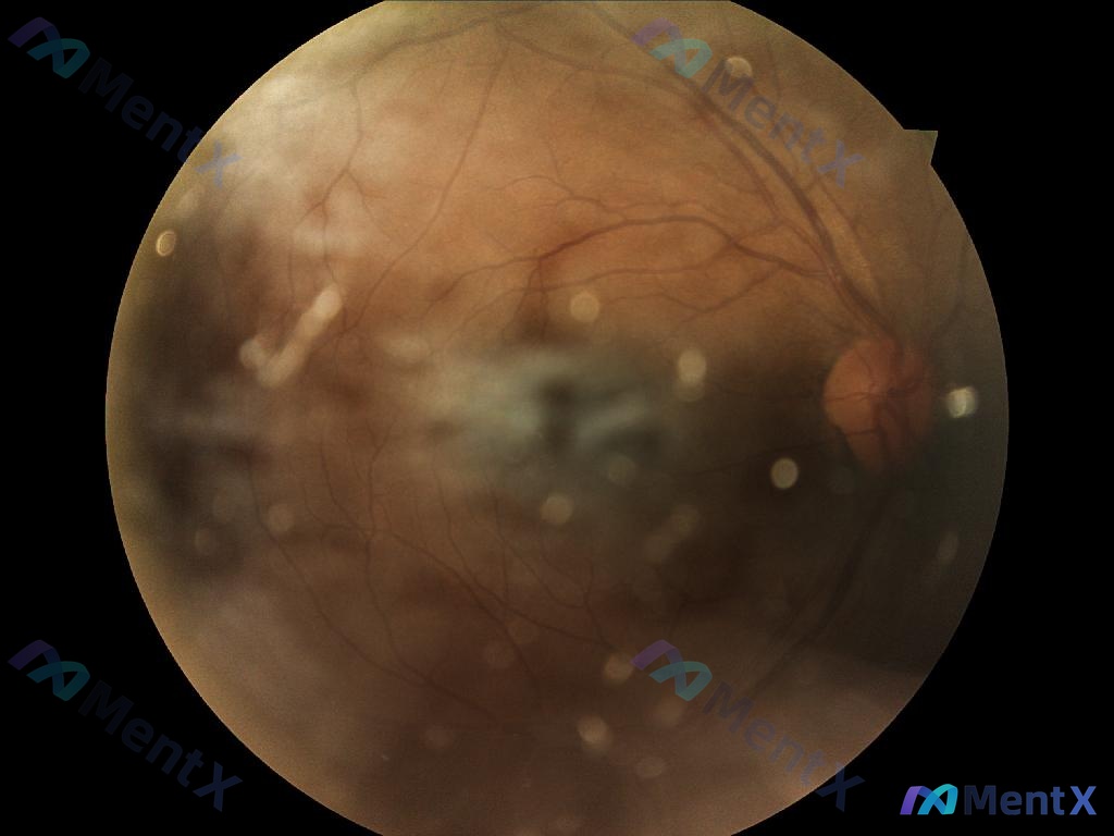 Post 30 image 1