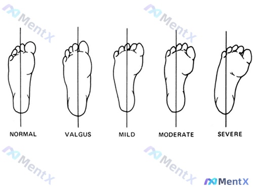 Post Image 4