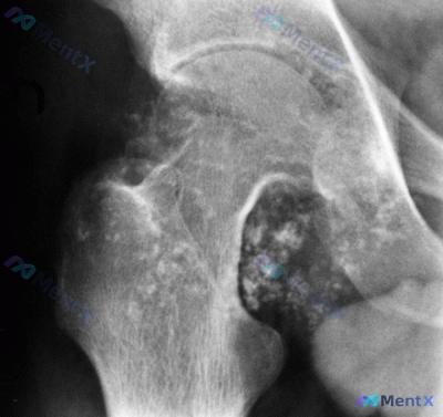 Post 2229 image 1
