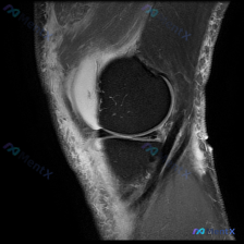 Post 27229 image 1