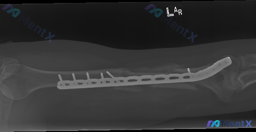 Post 3533 image 1