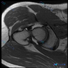 Post 39990 image 1