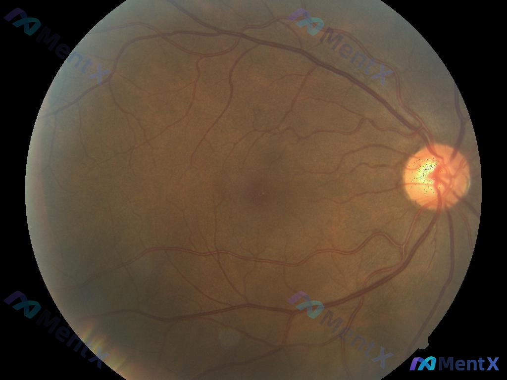 Post 285 image 1