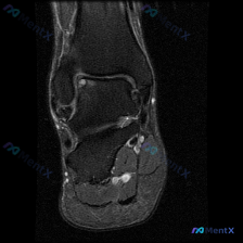 Post 20959 image 1