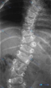 Post 955 image 1