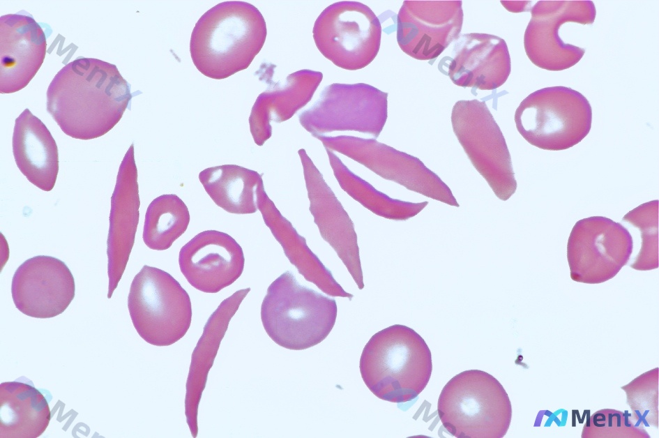 Post 2553 image 1
