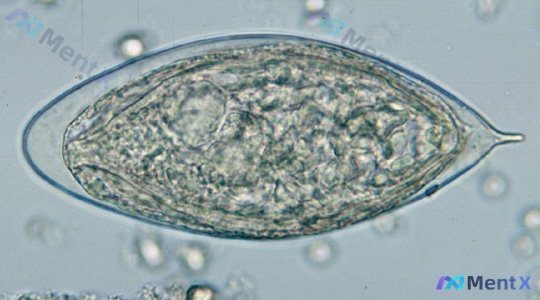 Post 2170 image 1