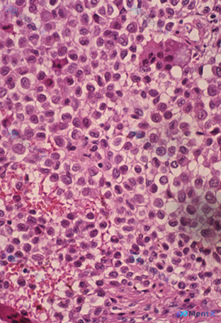 Post 20 image 2