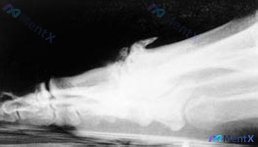 Post 1665 image 2