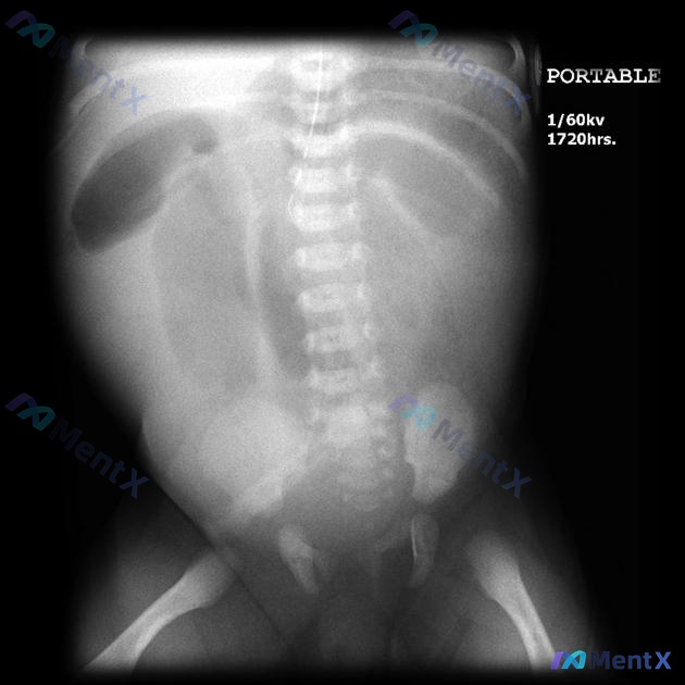 Post 57 image 1