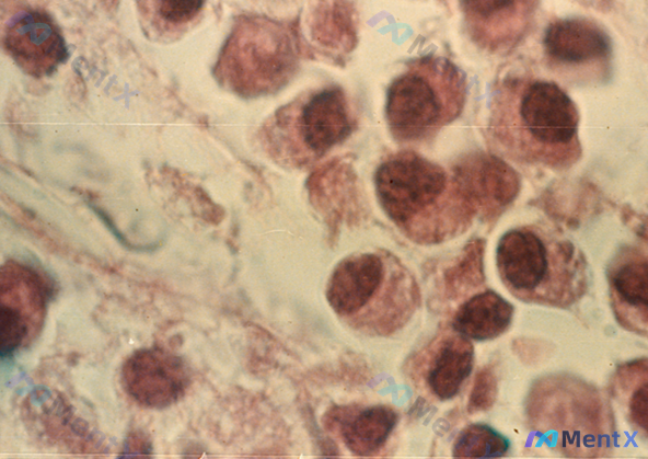 Post Image 6