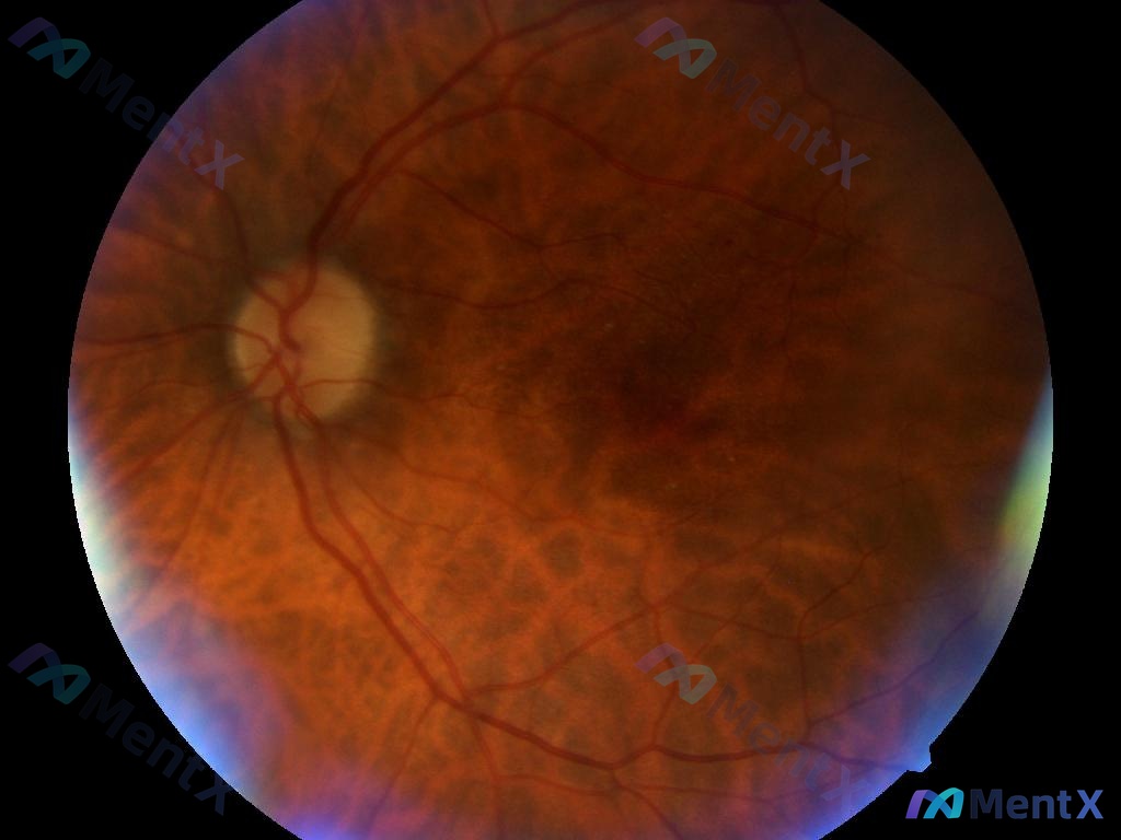 Post 2711 image 1