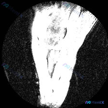 Post 19082 image 1