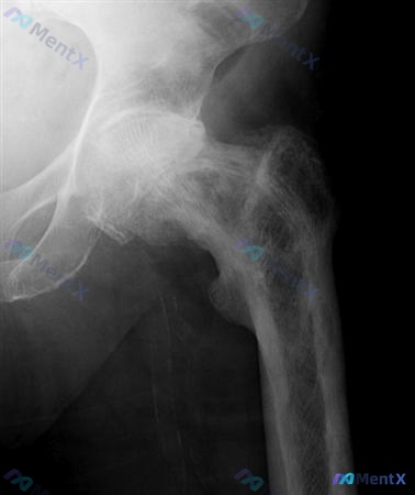 Post Image 5