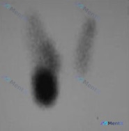 Post 263 image 1