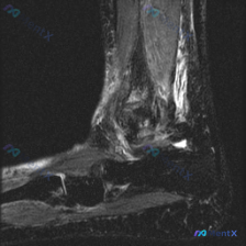 Post 24732 image 1