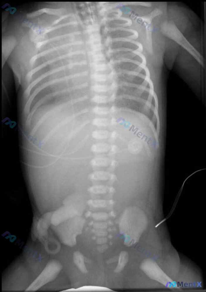 Post 430 image 1