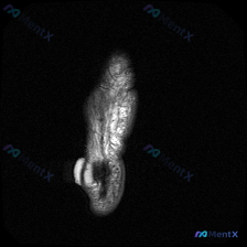 Post 20300 image 1