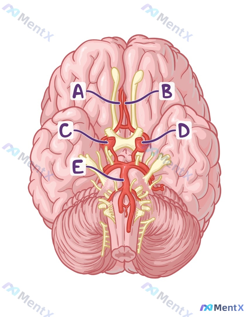 Post 2644 image 1