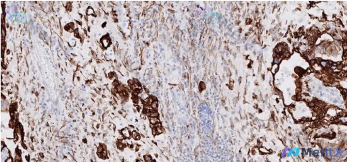 Post 4490 image 1