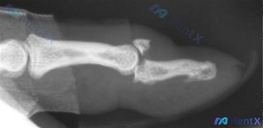 Post 1166 image 1