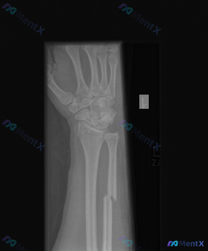 Post 6030 image 1