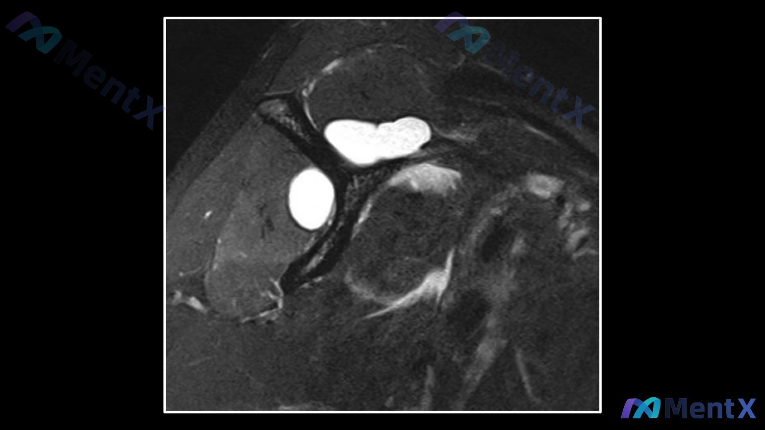 Post 231 image 1