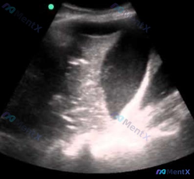 Post 2231 image 1