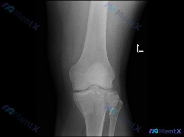 Post Image 4