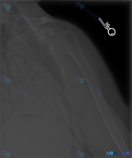 Post 3511 image 1