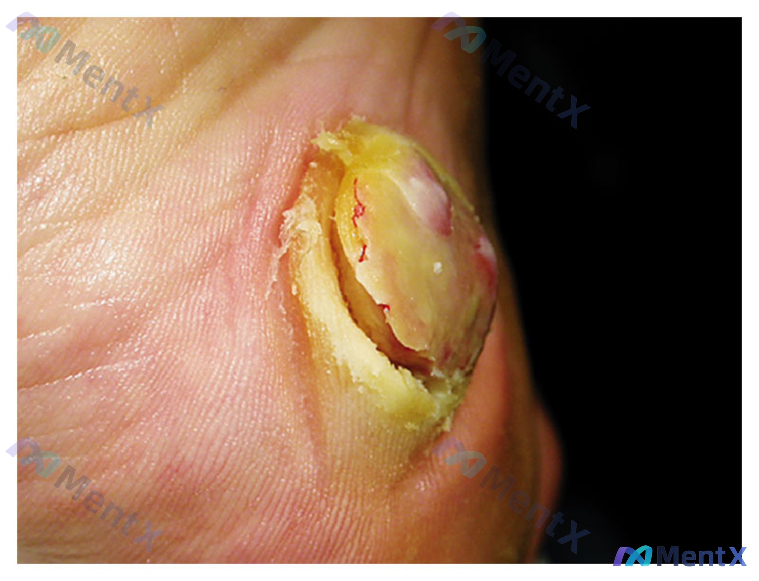 Post 2699 image 1