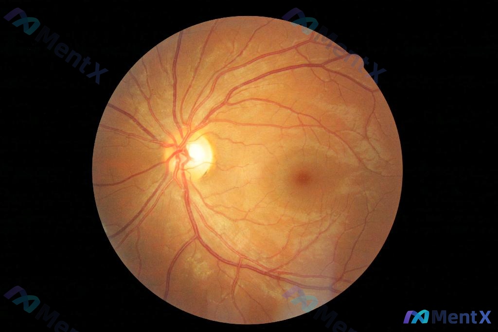 Post 874 image 1
