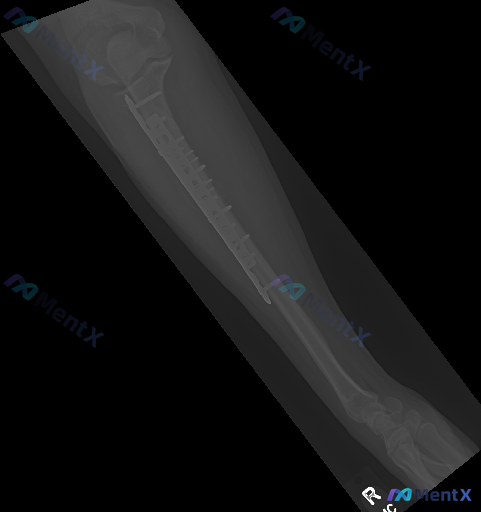 Post 3461 image 1