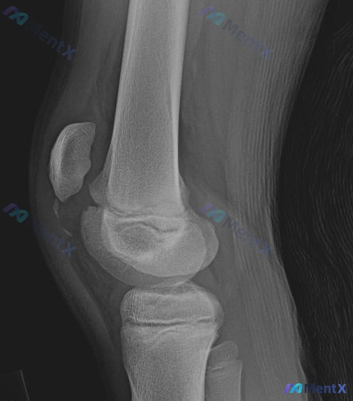Post 361 image 2