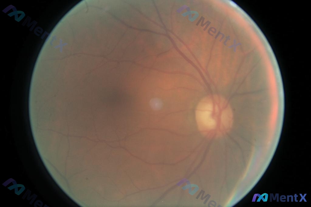 Post 51 image 1