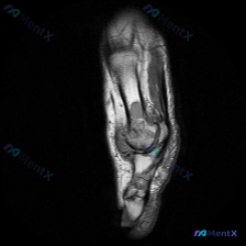 Post 20182 image 1