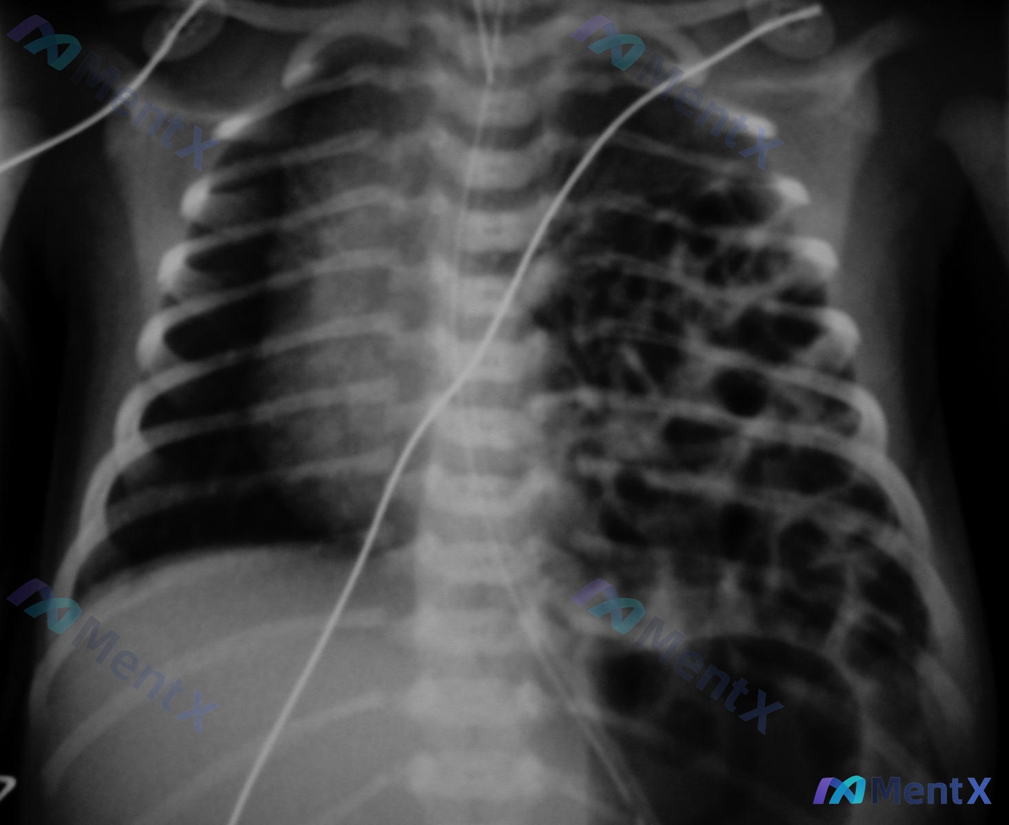 Post 1140 image 1