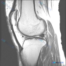 Post 19530 image 1