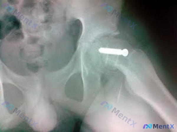 Post 219 image 3