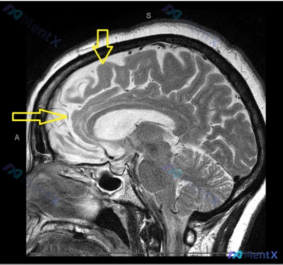 Post 191 image 1