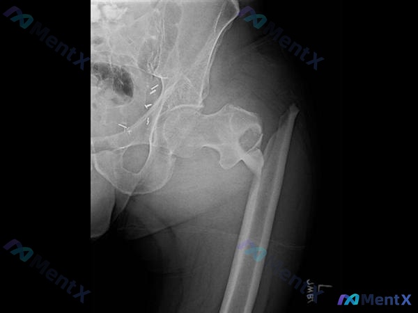 Post 2713 image 1
