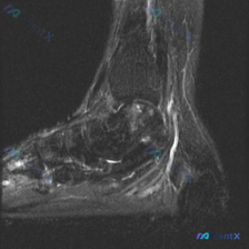 Post 21010 image 1