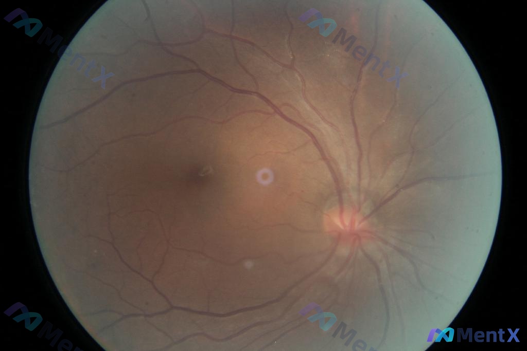 Post 2684 image 1