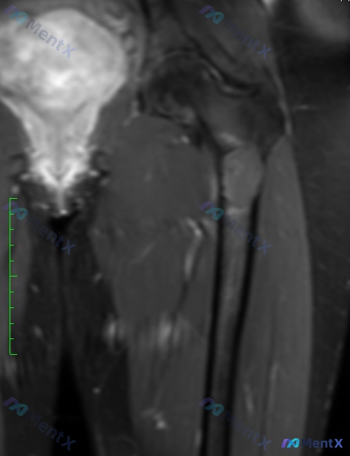 Post 1352 image 3