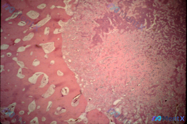 Post 2518 image 3