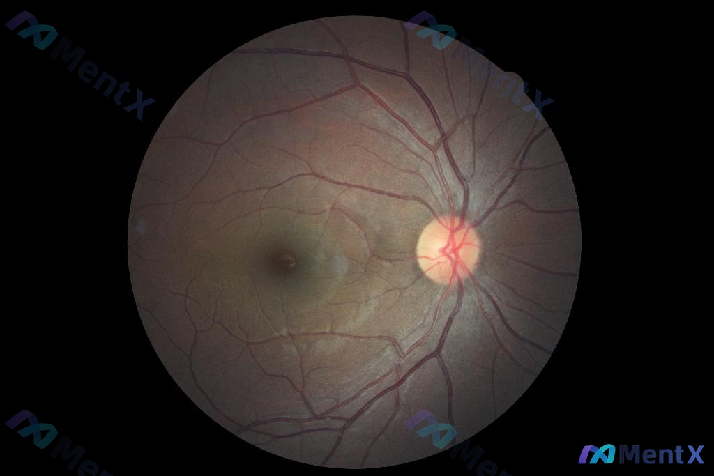 Post 217 image 1