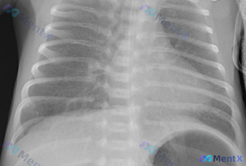 Post 2608 image 1