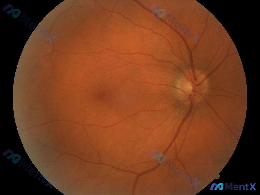 Post 2591 image 1