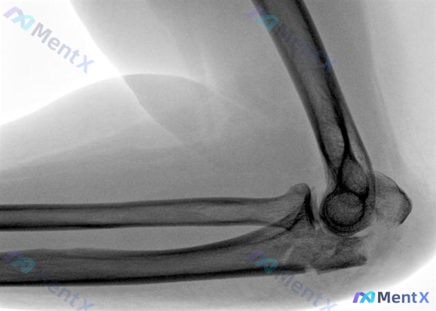 Post Image 5
