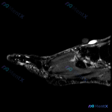 Post 26243 image 1